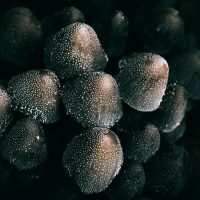 编辑部成员头像插画，一位戴眼镜的年轻人在深色背景下对着笔记本屏幕整理网络工具资料